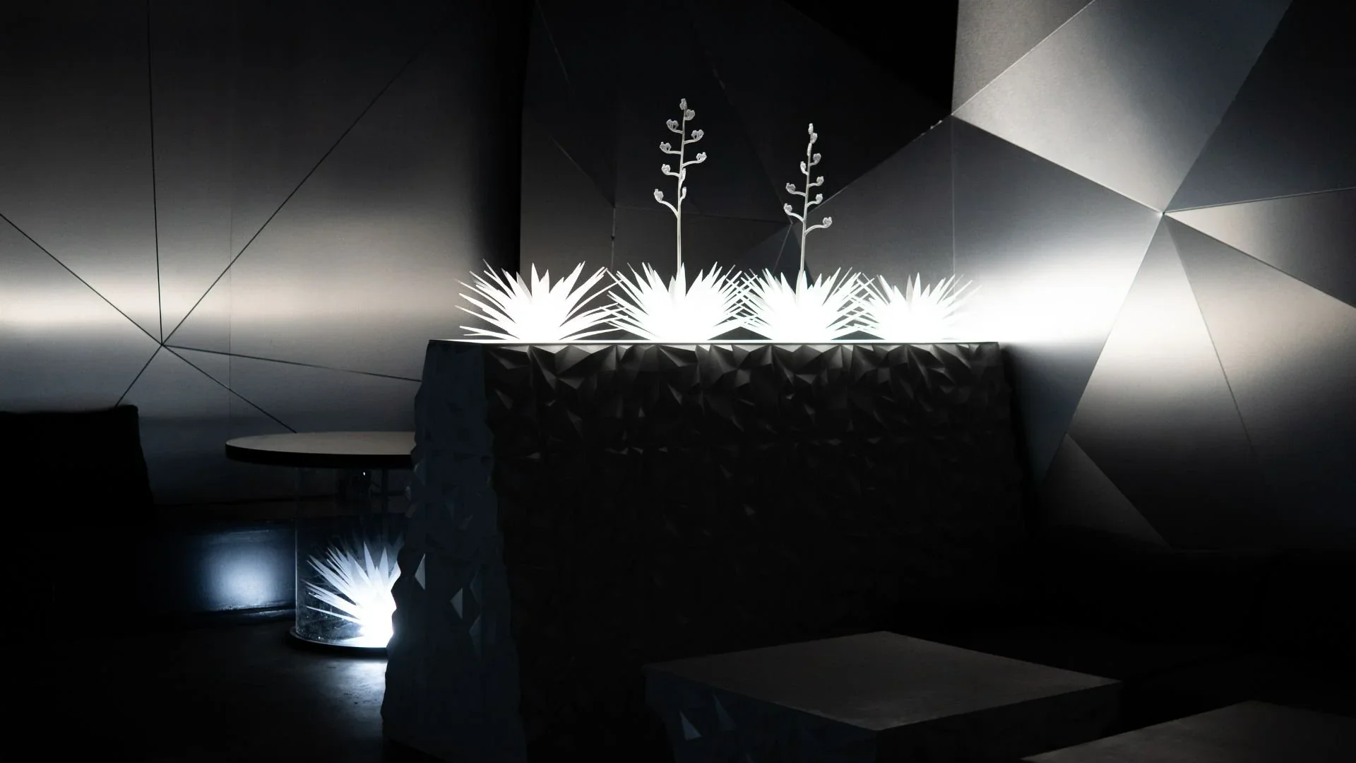 Immersive installation featuring illuminated agave plants in a modern, geometric setting.